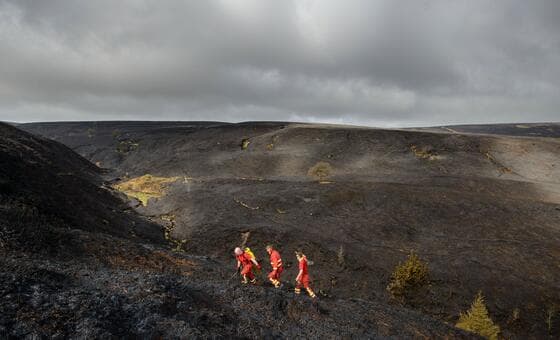 Comissão da ONU na Europa lança guia para combater calor extremo